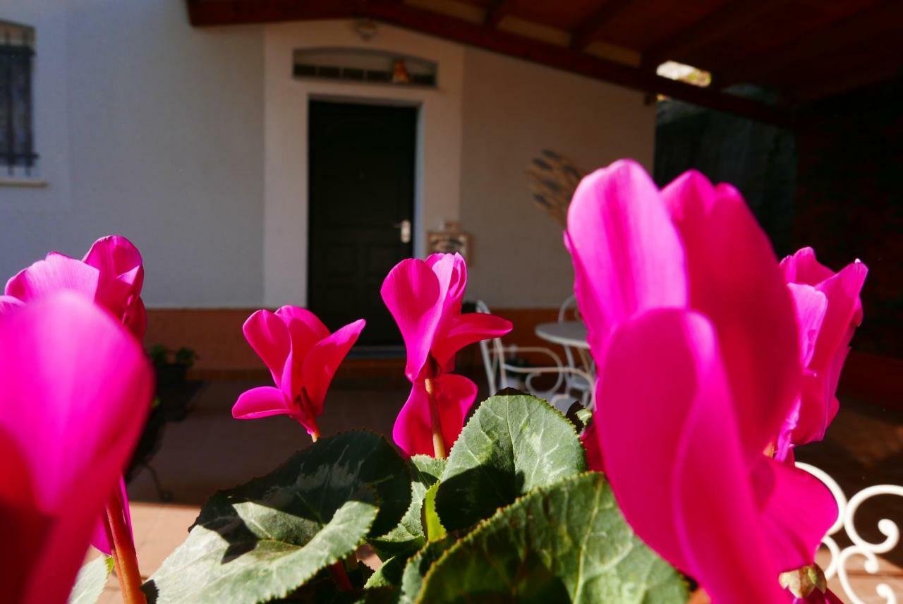B&B Ai Tre Archi Spotorno Exterior foto